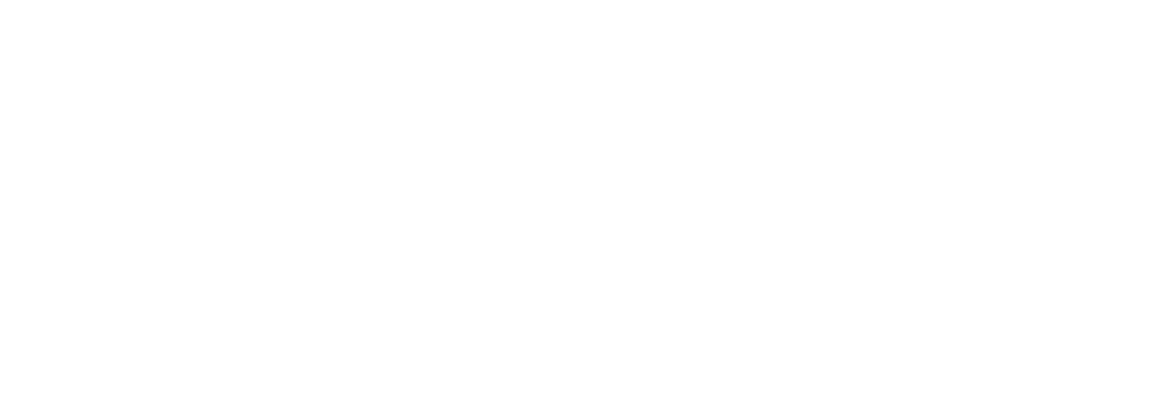 Santafi Logo